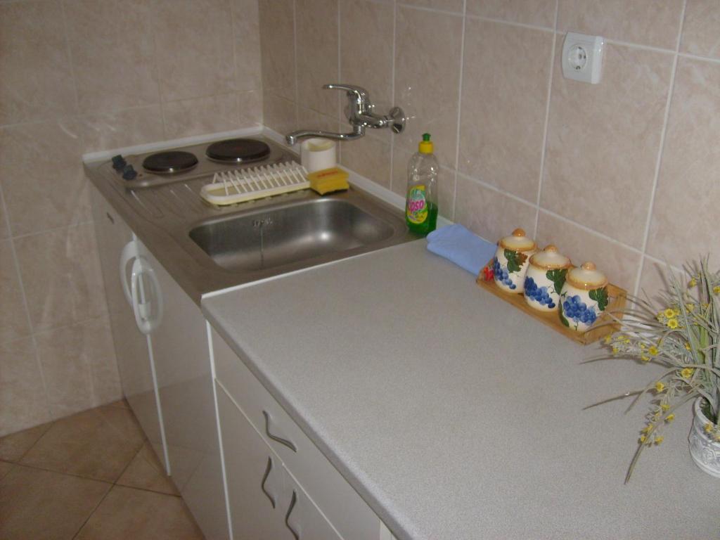 Apartments Bovan ヘルツェグ・ノヴィ 部屋 写真